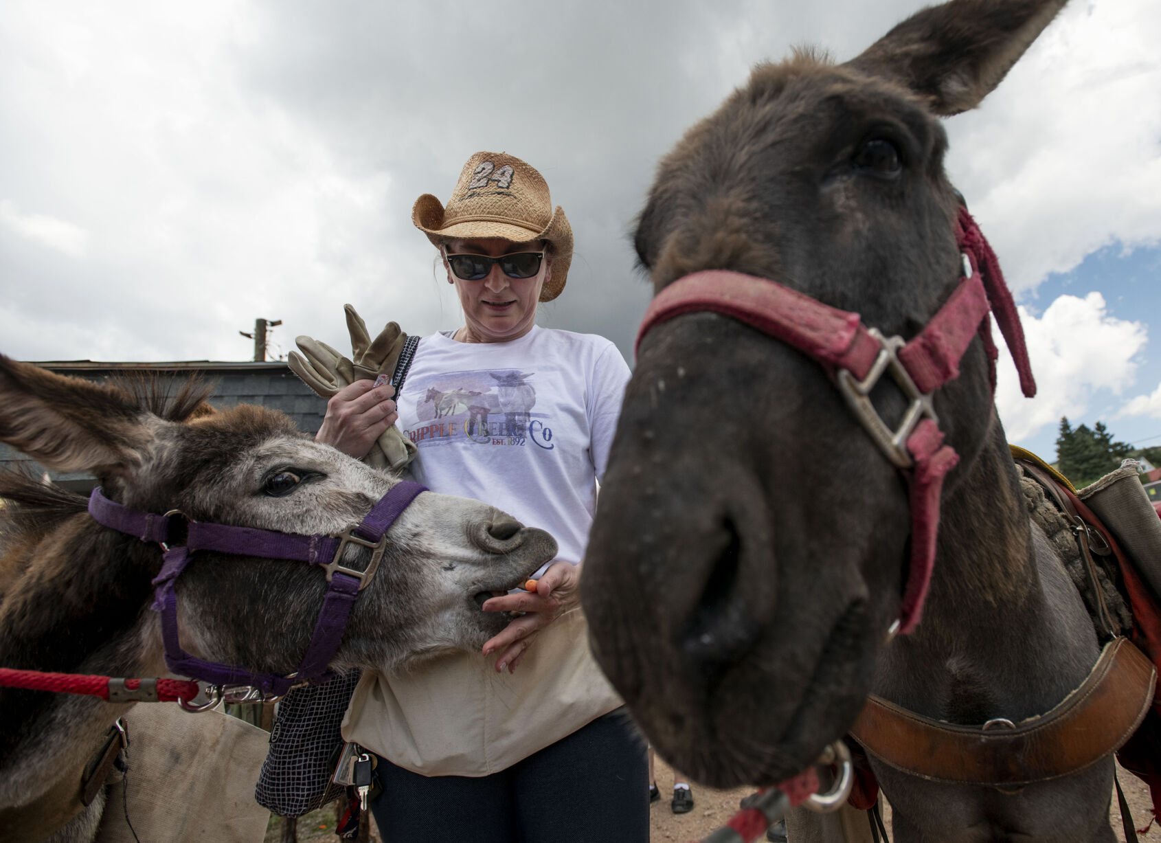 Photo of the Week: It's OK to get close